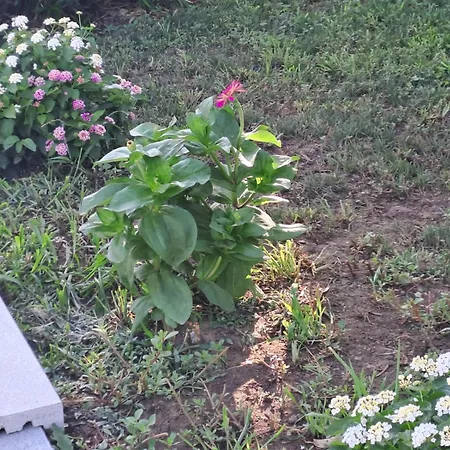 Casa Lombardo Casa de Férias