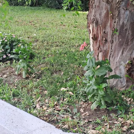 Casa de Férias Casa Lombardo