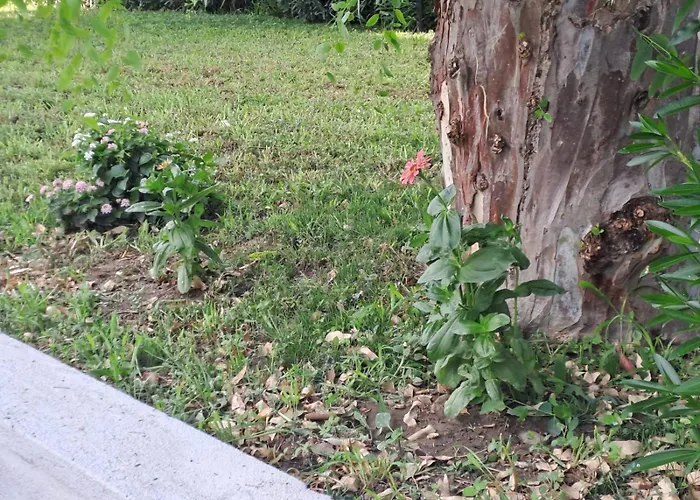 Casa de Férias Casa Lombardo