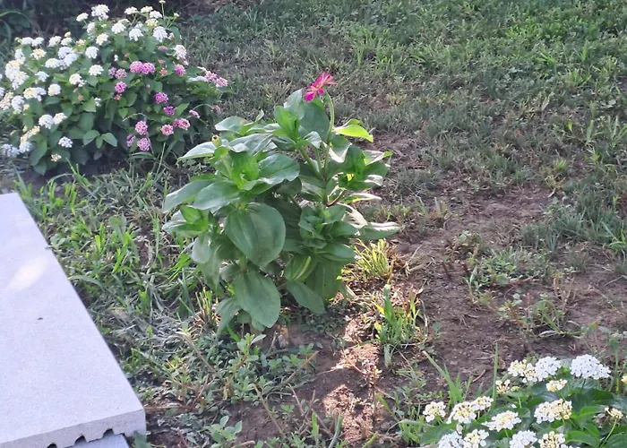 Casa Lombardo Ferienhaus